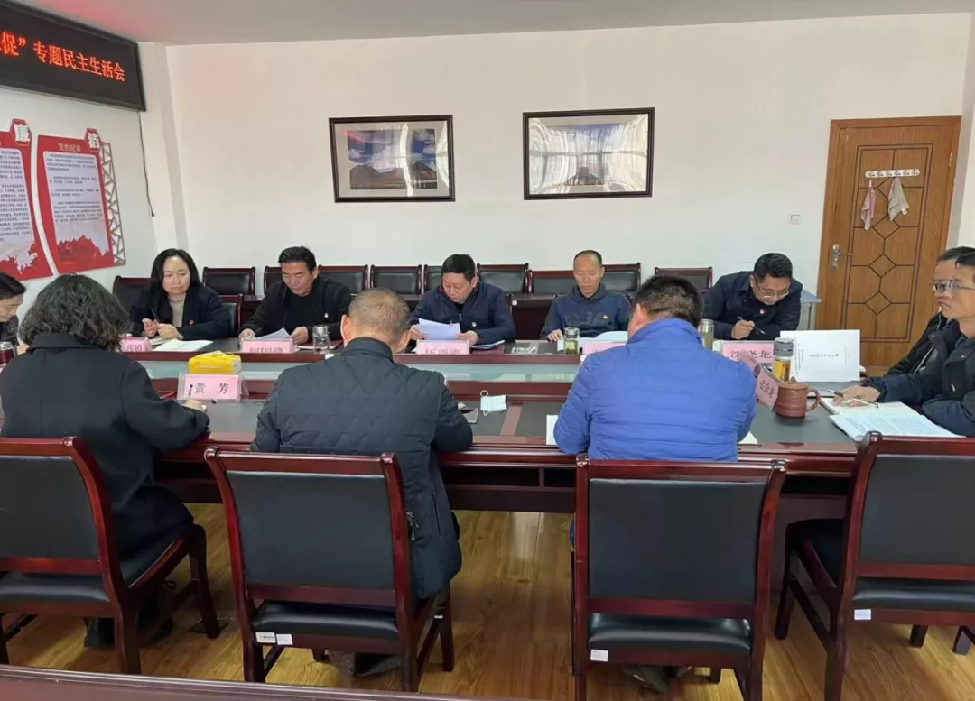 公司黨委召開(kāi)2021年度黨史學(xué)習教育暨以案“三促”專題民主生活會(圖2) a2.png